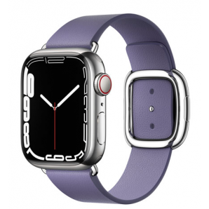 Series 7 (Stainless Steel) Apple Watch